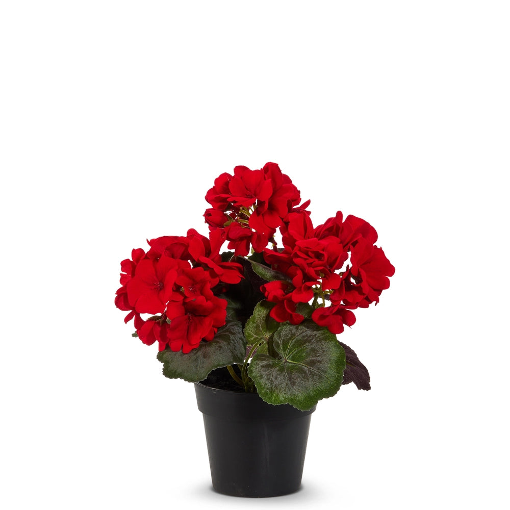 9.5" Potted Red Geranium
