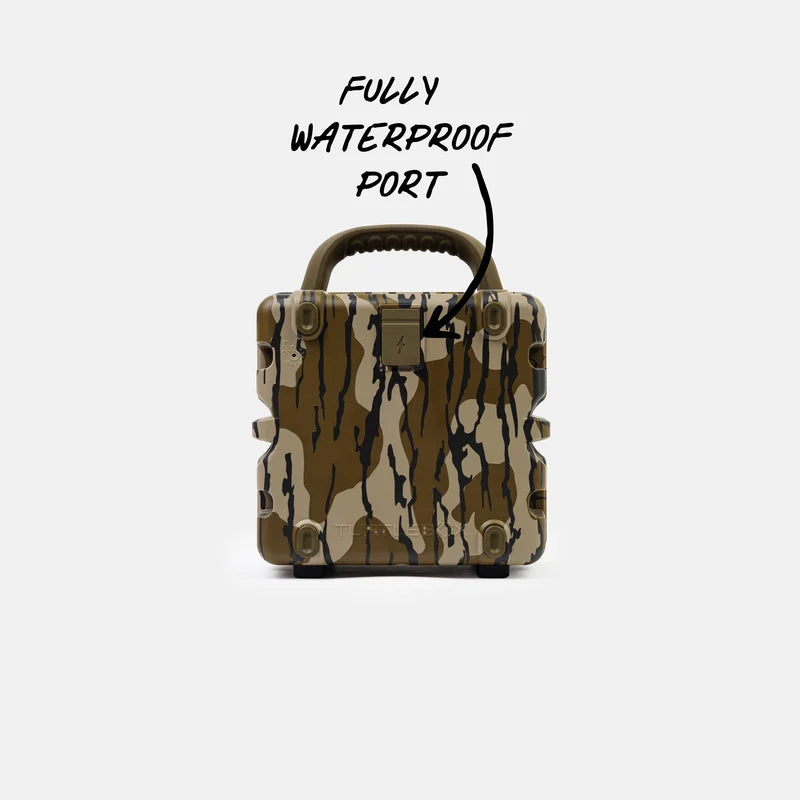 Cub | Bottomland