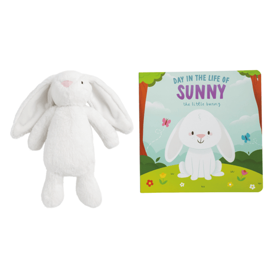 Plush Bunny Book