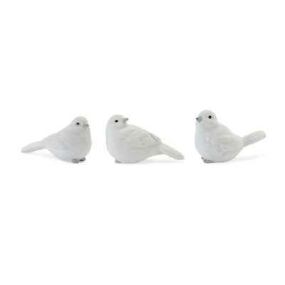 White Bird