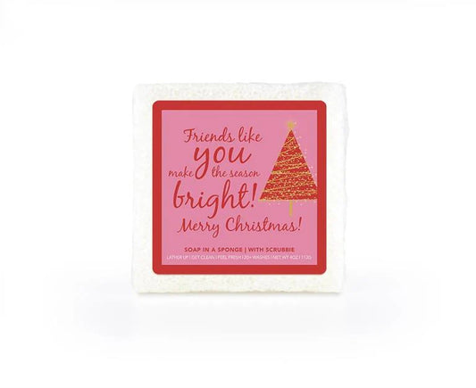 Friends Like You Make the Season Bright Soap in a Square Sponge