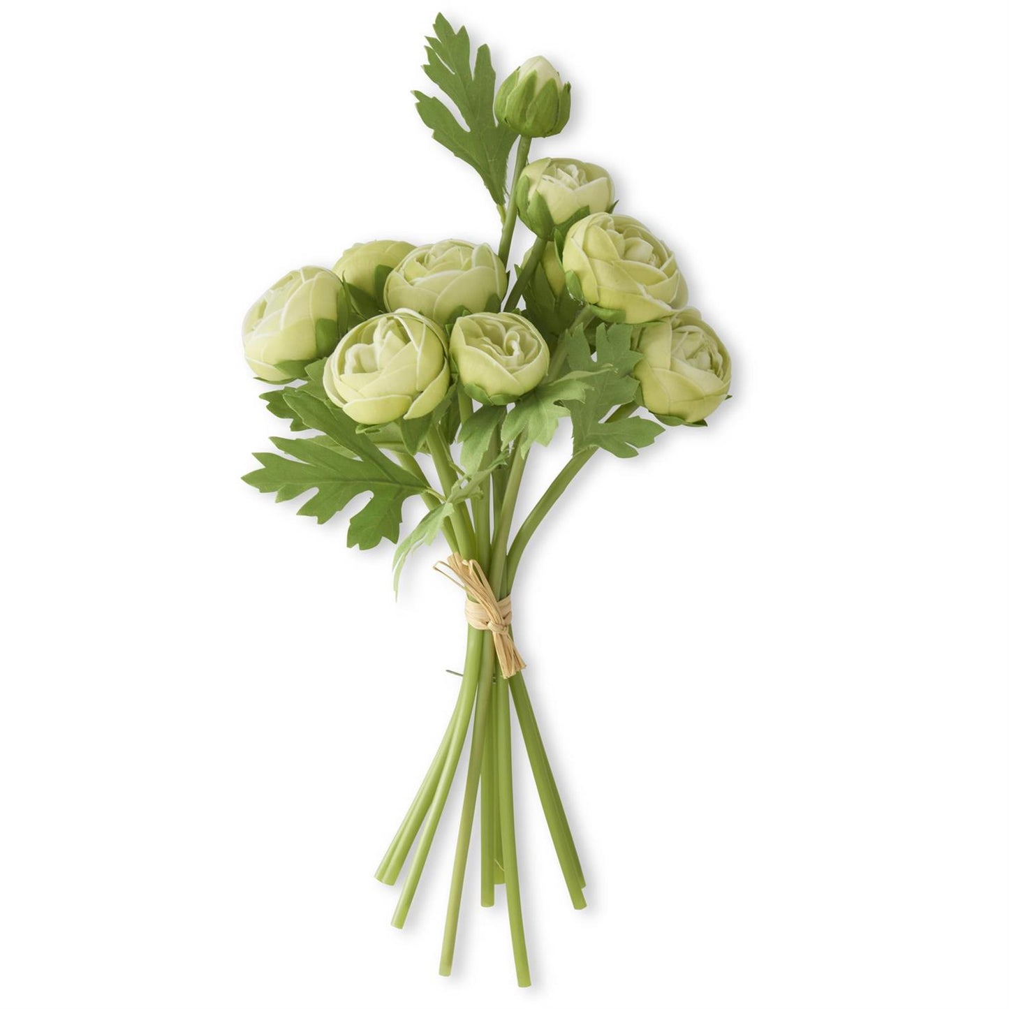 15 Inch Green Real Touch Ranunculus Bundle (10 Stem)