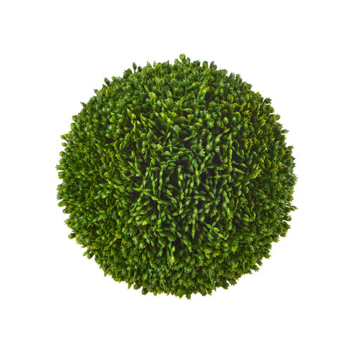 5.5" Sedum Ball