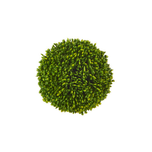 4" Sedum Ball