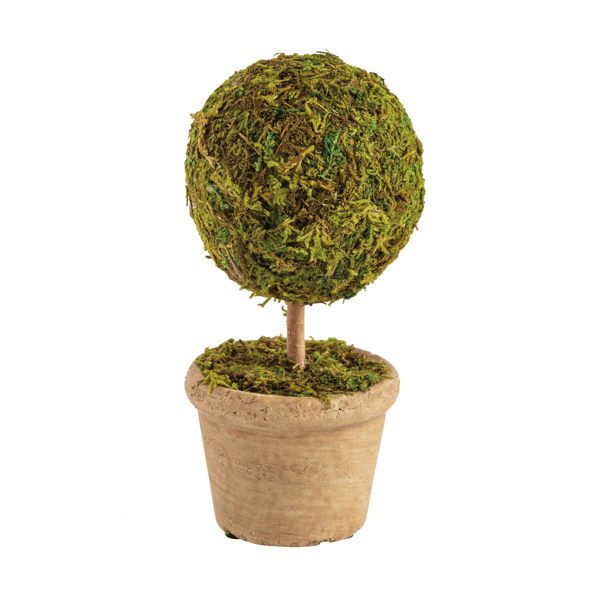 Single Moss Covered Topiary