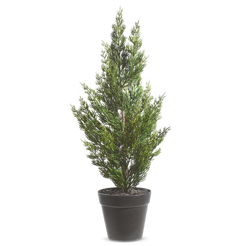 21" Potted Ceader Tree