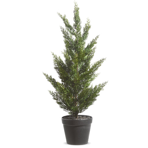 28" Potted Cedar Tree