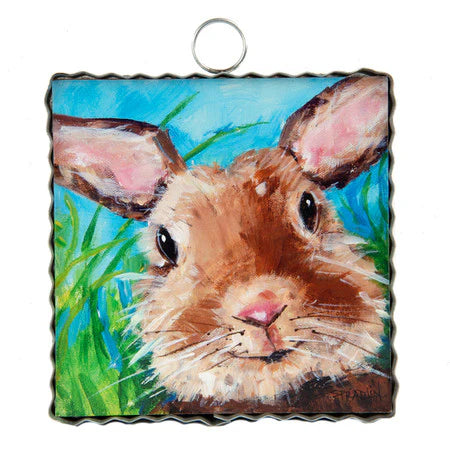 Bunny Close Up
