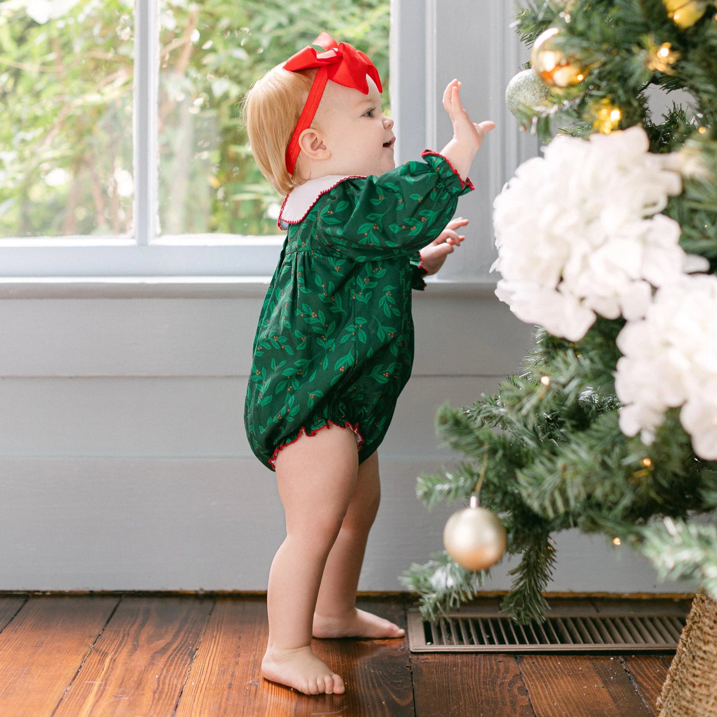 Collared Holly Bubble