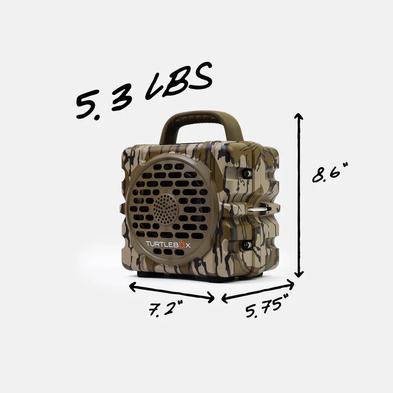 Cub | Bottomland
