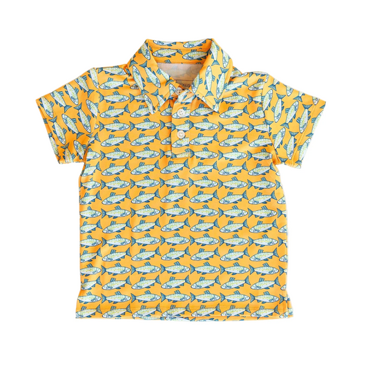 Kyle Polo | Amalfi Fish
