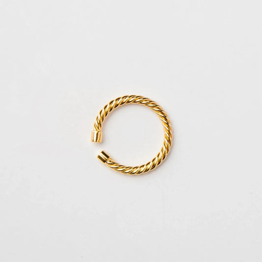 Twisted Aspen Ring Mini | Brenda Grands