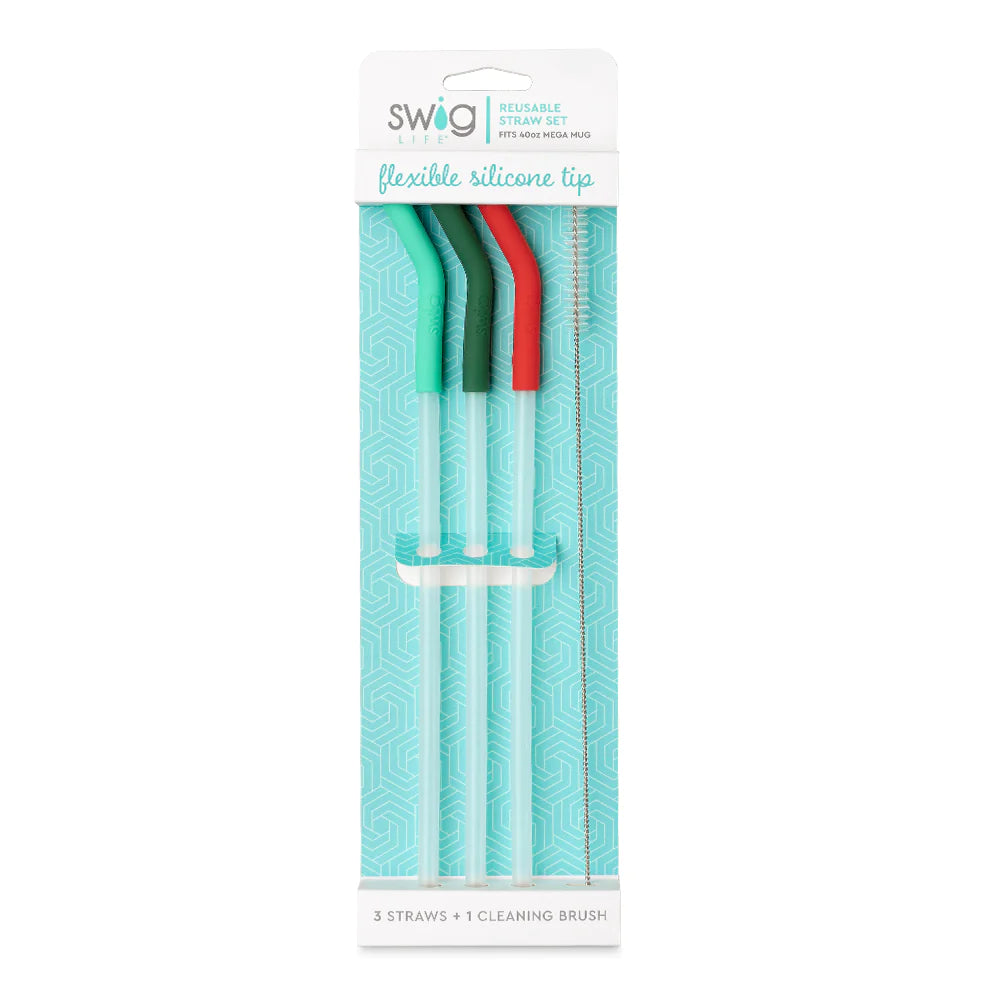 Mint/Green/Red Reusable Straw Set