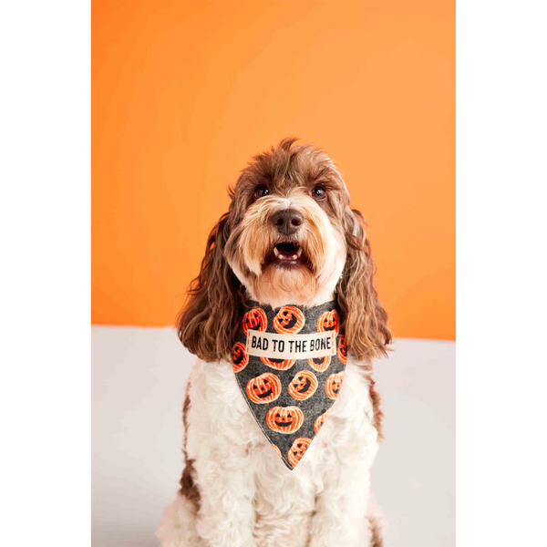 Feast Mode Reversible Holiday Dog Bandana